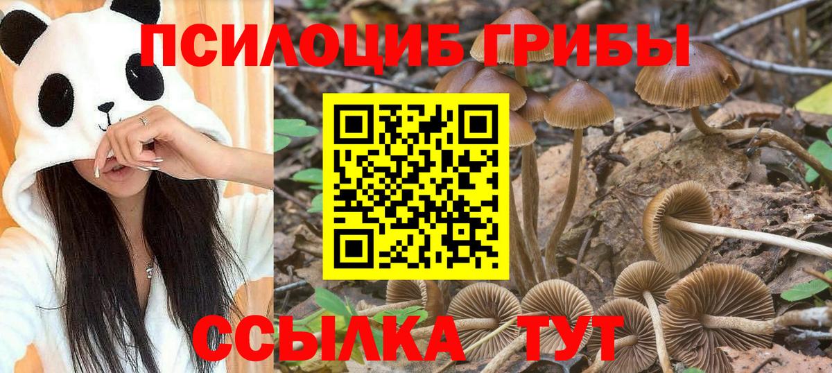 Псилоцибиновые грибы Cubensis  Вход с VPN  Гатчина  Галлюциногенные грибы мухоморы 