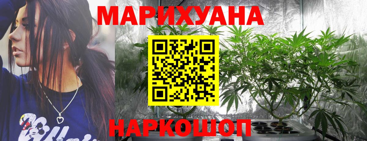 Каннабис Ganja  Вход с VPN  Гатчина  МАРИХУАНА сатива 